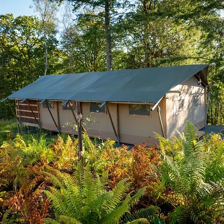 Windermere - Safari Luxury tent *