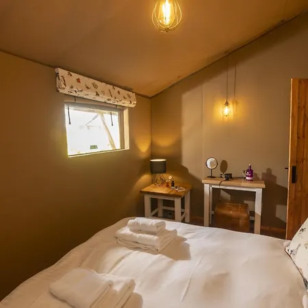 Windermere - Safari Ambleside