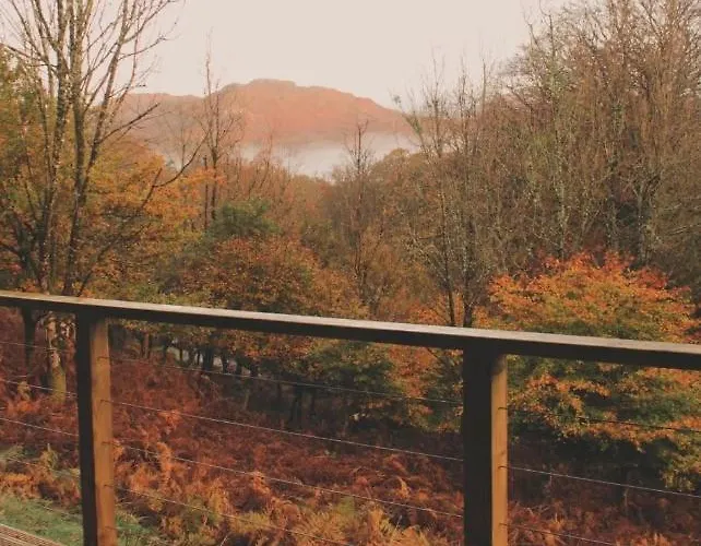 Windermere - Safari * Ambleside