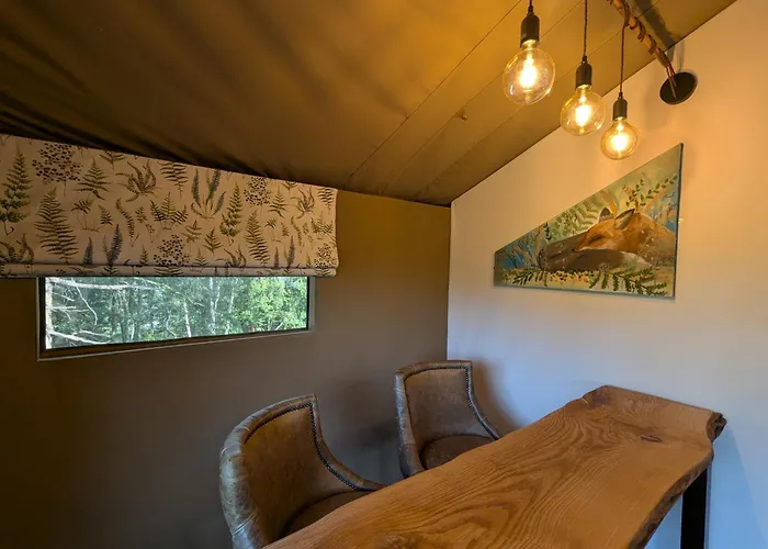 Windermere - Safari Ambleside