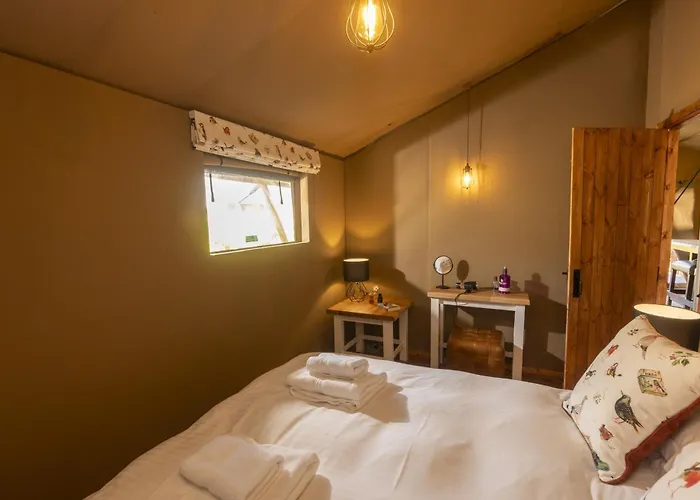 Windermere - Safari Ambleside