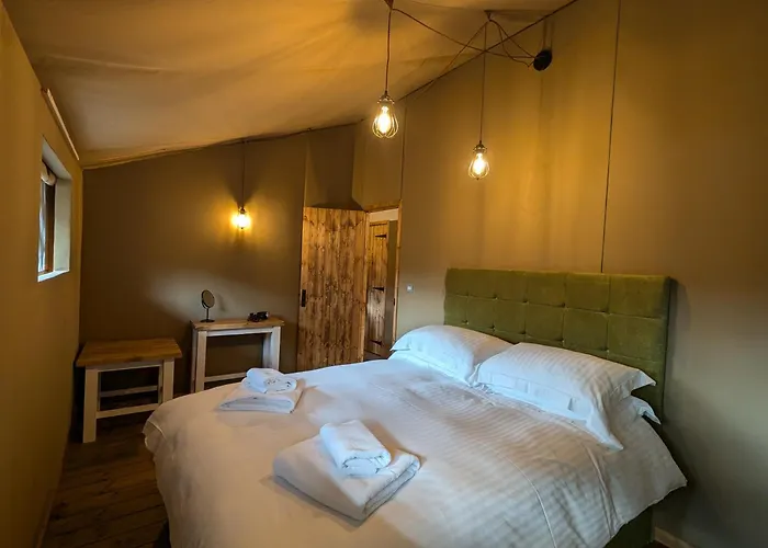 Windermere - Safari Ambleside