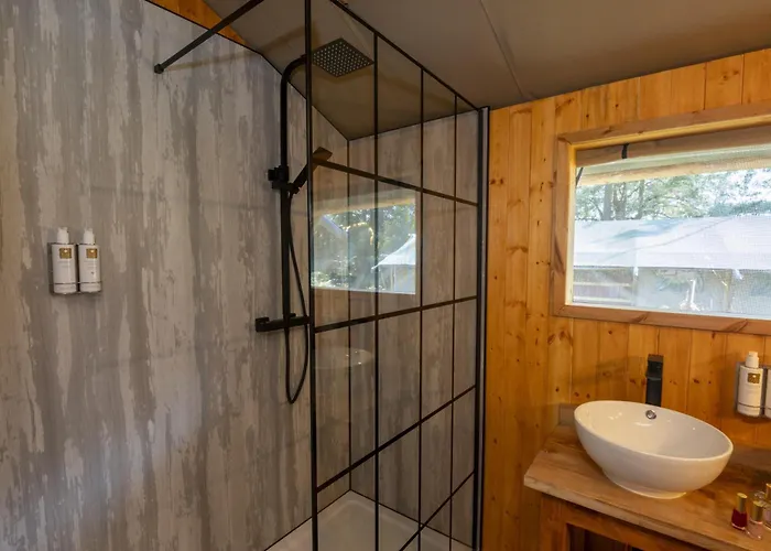 Windermere - Safari *