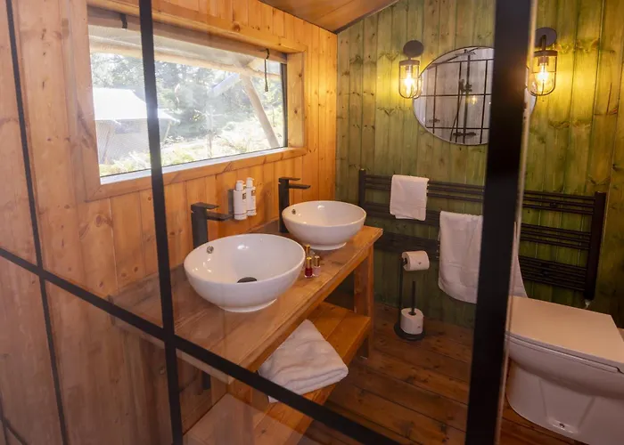 Windermere - Safari *