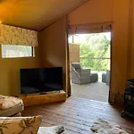 Glamping Windermere - Safari