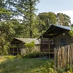 Windermere - Safari Glamping Ambleside